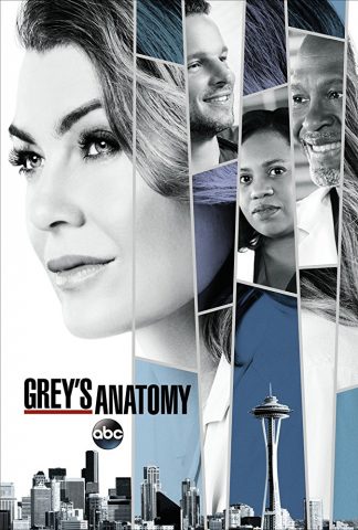 مسلسل Grey’s Anatomy الموسم الرابع عشر ( 2018 ) كامل مترجم برابط واحد لينك مباشر